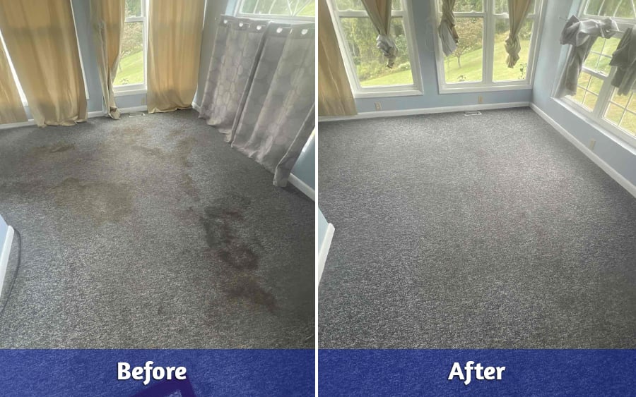 Before and After of Residential Carpet Cleaning